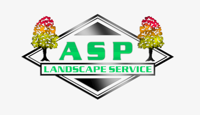 ASP Landscape Service logo